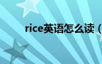 rice英语怎么读（单词rice怎么读）