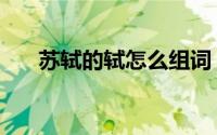 苏轼的轼怎么组词（生字轼怎么组词）