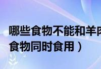 哪些食物不能和羊肉一起吃（羊肉不能与什么食物同时食用）