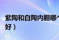 紫陶和白陶内胆哪个好（紫陶和白陶内胆哪个好）