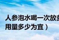 人参泡水喝一次放多少片（人参泡茶服用每次用量多少为宜）
