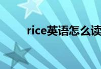 rice英语怎么读（单词rice怎么读）