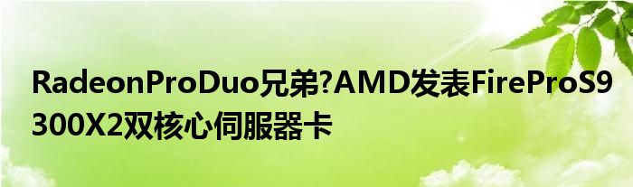 RadeonProDuo兄弟?AMD发表FireProS9300X2双核心伺服器卡
