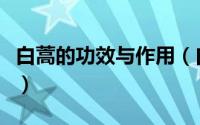 白蒿的功效与作用（白蒿的功效与作用是什么）