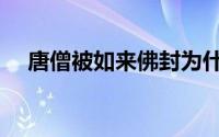 唐僧被如来佛封为什么佛（唐僧的介绍）