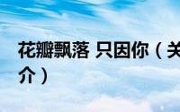 花瓣飘落 只因你（关于花瓣飘落 只因你的简介）