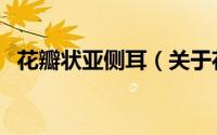 花瓣状亚侧耳（关于花瓣状亚侧耳的简介）