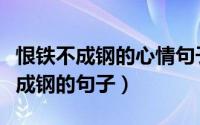 恨铁不成钢的心情句子（表达对一个人恨铁不成钢的句子）