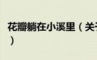 花瓣躺在小溪里（关于花瓣躺在小溪里的简介）
