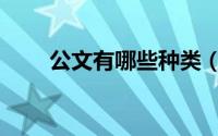 公文有哪些种类（公文有什么种类）