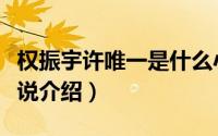 权振宇许唯一是什么小说（权振宇许唯一的小说介绍）