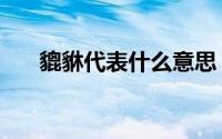 貔貅代表什么意思（貔貅代表的意思）