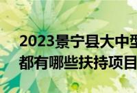 2023景宁县大中型水库移民精准扶持政策：都有哪些扶持项目？
