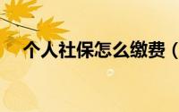 个人社保怎么缴费（个人社保怎么缴纳）