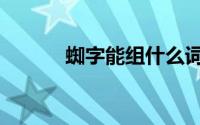 蜘字能组什么词（蜘主要组词）