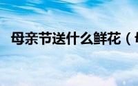 母亲节送什么鲜花（母亲节适合送哪些花）