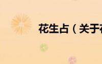 花生占（关于花生占的简介）