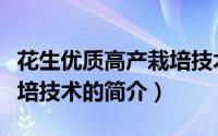 花生优质高产栽培技术（关于花生优质高产栽培技术的简介）