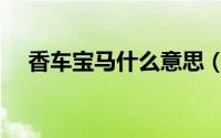 香车宝马什么意思（香车宝马简单释义）