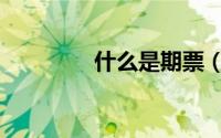 什么是期票（期票的解释）