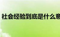 社会经验到底是什么意思（什么是社会经验）