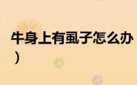 牛身上有虱子怎么办（牛身上有虱子处理方法）