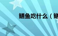 鳝鱼吃什么（鳝鱼吃什么食物）