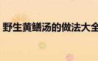 野生黄鳝汤的做法大全（黄鳝汤的家常做法）