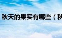 秋天的果实有哪些（秋天成熟的果实有哪些）