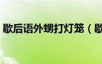 歇后语外甥打灯笼（歇后语外甥打灯笼解释）