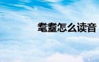 耄耋怎么读音（耄耋的出处）