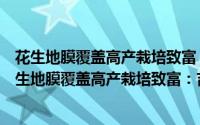 花生地膜覆盖高产栽培致富：吉林省白城市林海镇（关于花生地膜覆盖高产栽培致富：吉林省白城市林海镇的简介）