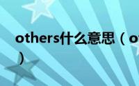 others什么意思（others的短语搭配有哪些）