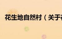 花生地自然村（关于花生地自然村的简介）