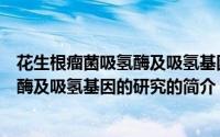 花生根瘤菌吸氢酶及吸氢基因的研究（关于花生根瘤菌吸氢酶及吸氢基因的研究的简介）