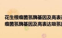 花生根瘤菌氢酶基因及高表达吸氢菌株的研究（关于花生根瘤菌氢酶基因及高表达吸氢菌株的研究的简介）