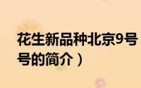 花生新品种北京9号（关于花生新品种北京9号的简介）