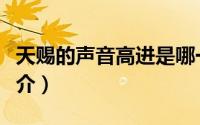 天赐的声音高进是哪一期（天赐的声音节目简介）