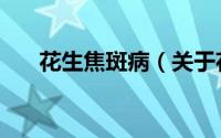 花生焦斑病（关于花生焦斑病的简介）