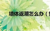 墙体返潮怎么办（如何解决墙体返潮）