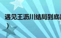 遇见王沥川结局到底是什么（大结局剧情内容）