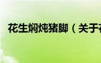 花生焖炖猪脚（关于花生焖炖猪脚的简介）