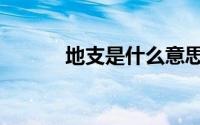 地支是什么意思（地支的解释）