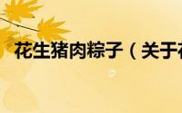 花生猪肉粽子（关于花生猪肉粽子的简介）
