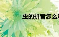虫的拼音怎么写（虫的拼音）
