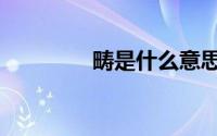 畴是什么意思（畴的意思）