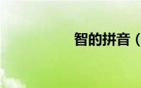 智的拼音（智读什么）