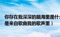 你存在我深深的脑海里是什么歌（你存在我深深的脑海里是是来自歌曲我的歌声里）