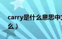 carry是什么意思中文（carry的意思是是什么）