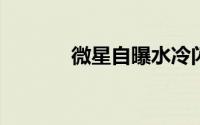 微星自曝水冷闪电版HD7970